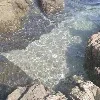 🌊