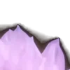 ⭐