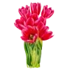 🌹