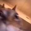 🥴