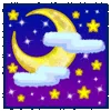 🌃