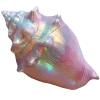 🐚