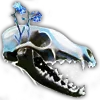 💀