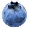 🫐