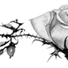 🥀