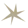 🌟