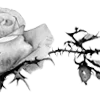 🥀