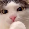 😛