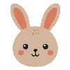🐰