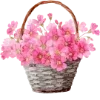🌸