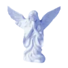🕊️