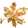 🍁