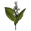 🌱