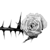 🌹