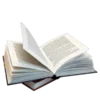 📖