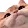 🙂