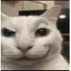 🤩