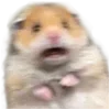 😵