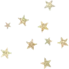 🌟