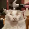 🔨