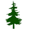 🌲