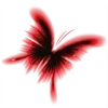 🦋