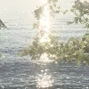 🌅