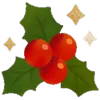 🎅