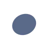 🔵
