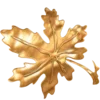 🍁