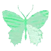 🦋