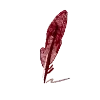 ✒️