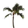 🌴