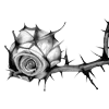 🌹