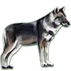 🐺