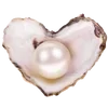 🌊