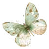 🦋
