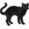 🐱