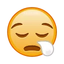 😪