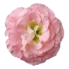 🌺