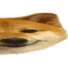 🐶