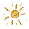 ☀