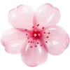 🌸