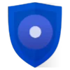 🔵