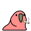 🚬