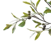 🌿