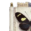 📔