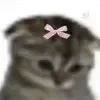 🎀