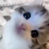 😊