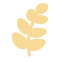 🌾